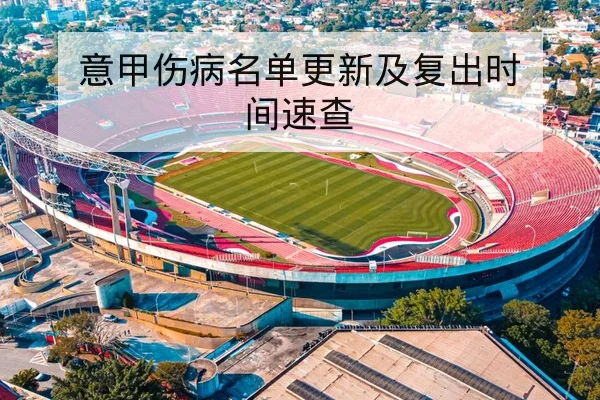 意甲伤病名单更新及复出时间速查 | leyu