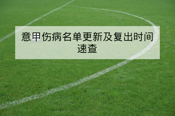 意甲伤病名单更新及复出时间速查