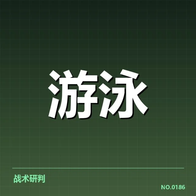 新星选手阵容及成绩盘点